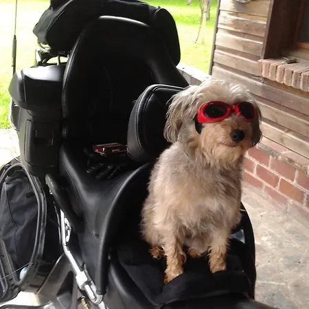 La Maison De L'epousee 3* Abbeville