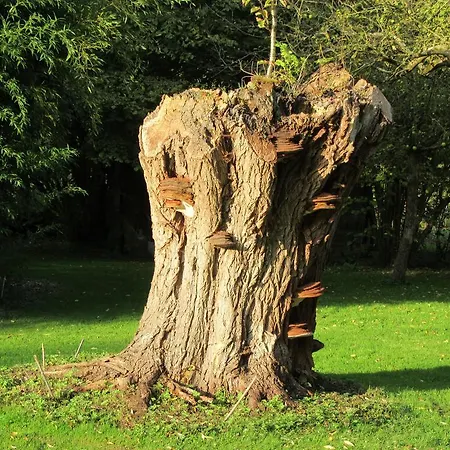 La Maison De L'epousee 3*