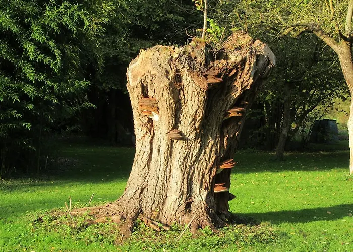 La Maison De L'epousée 3*